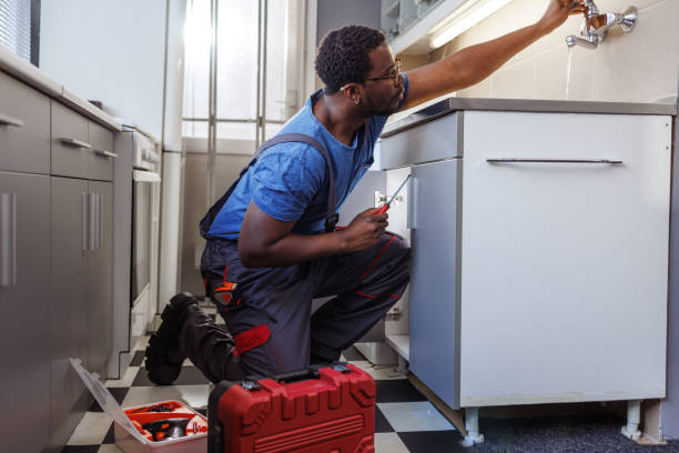 Best Toilet Repair Services  in Spring Hill, TN